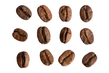 Coffee bean isolate on white