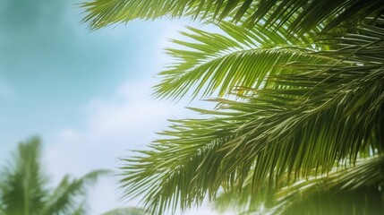 Palm Sunday concept: green palm tree leaves on natural sky, Generative AI