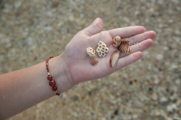 Collecting pebbles and shells on the beach. Concept of playing and loving nature.