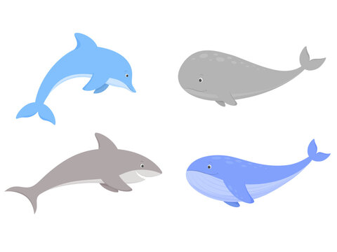 Set of sea animals. Dolphin, shark, whales Vector illustration.