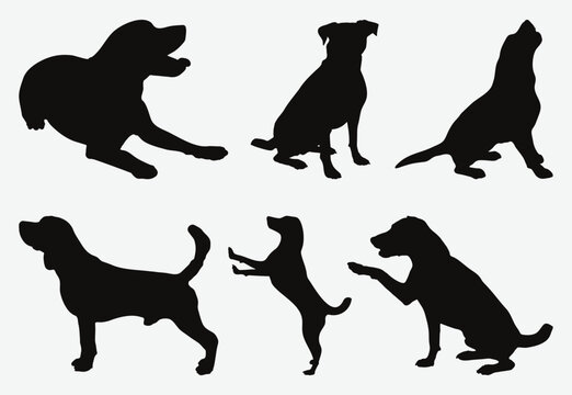 Exquisite Collection of Graceful Canine Silhouettes, Comprehensive Set of Dogs in Diverse Poses and Breeds