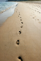human footprints on the beach at the water's edge