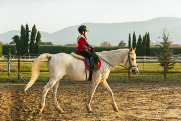 Little Boy Riding A White Horse. Horseback Riding. Dressage horse in training, front view. Dressage...