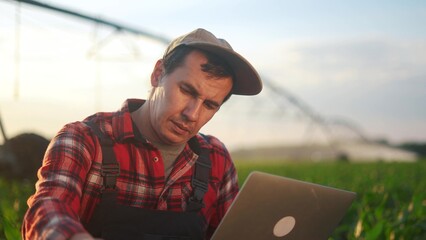 corn agriculture. a male farmer works on a laptop in a field with green corn lifestyle sprouts....
