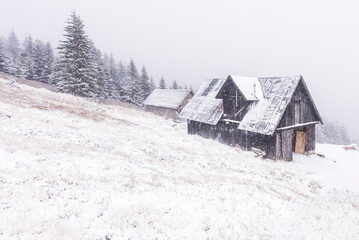 Old barn in a cold foggy winter day. 