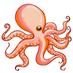 illustration of cute seafood