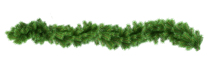 christmas tree branches	
