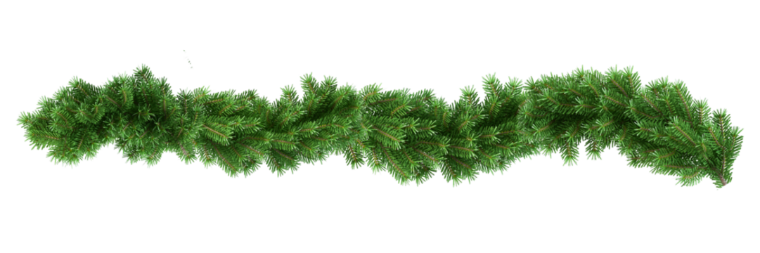 christmas tree branches	
