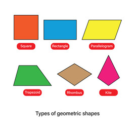 Types of geometric shapes quadrilateral shapes names vector illustration.
