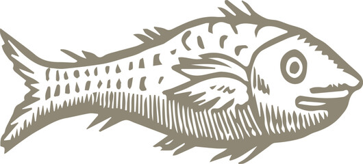 Fish illustration