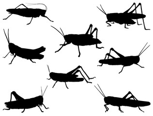 Set of grasshopper silhouette vector art