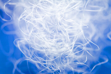 Extreme macro of polyester stable fiber on blue background