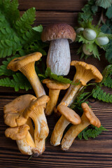 collection of mushrooms on a wooden board for educational books and manuals. various mushrooms, layout, banner, postcard