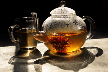 Teapot with blooming green tea in  the rays of the sun