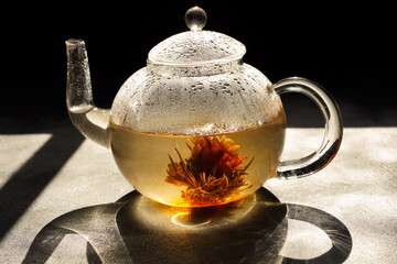 Teapot with blooming green tea in  the rays of the sun
