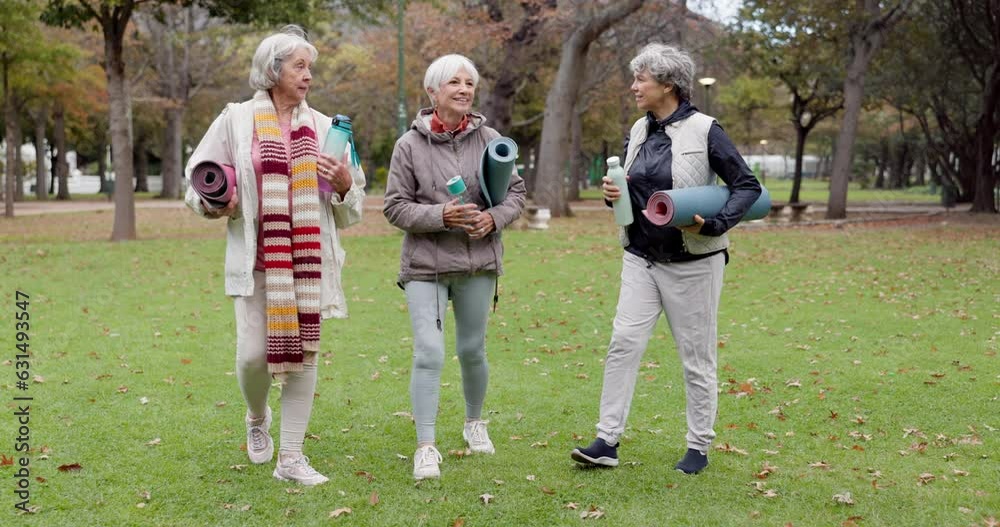 Wall mural Senior friends, walking and talking with yoga mats in the park to relax in nature with elderly women in retirement. People, happy conversation and healthy outdoor exercise or pilates in winter