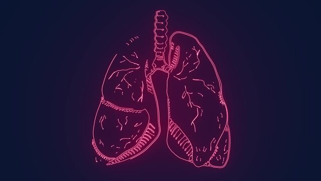 Human Lungs Medical science Animation