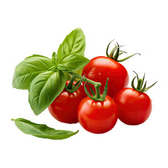 Cherry tomatoes and basil on white backround.
