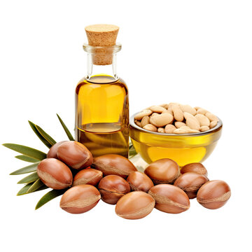 Isolated argan seeds on white background with oil nuts, plants, cosmetics, and natural oils.
