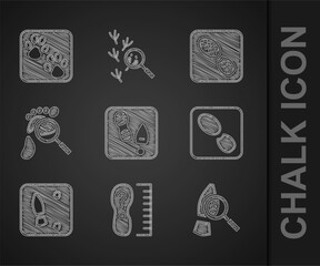 Set Human footprints shoes, Square measure size, Magnifying glass with footsteps, and Paw icon. Vector