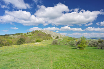 Naklejka premium Beautiful spring nature landscape