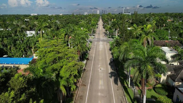 Aerial view of luxury real estate and lush landscaping including royal palm trees