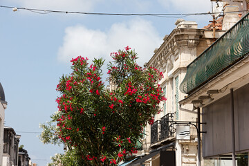 detailed view at french city Arcachon at summer time at the basin