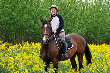 Purebred horse with rider on a rapeseed field outdoors in rural scene
