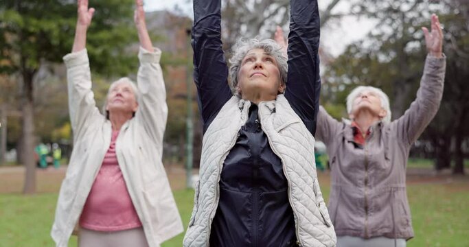 Health, park and elderly women stretching, yoga and exercise for wellness, retirement and pilates training. Female people, senior club or group outdoor, meditation and workout with self care or peace