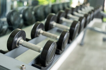 Row of Dumbbell indoor gym. Weight training equipment and bodybuilder concept. Sport club with...