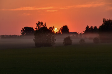 Fototapeta na wymiar foggy sunset in the countryside of the city