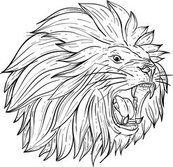 Roaring Lion Head Hand Drawn Illustration Vector