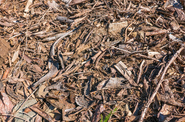 Wood scraps on the ground in the countryside