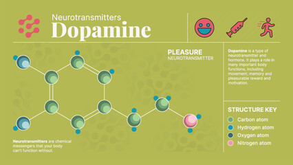 Dopamine Neurotransmitter Hormone Chemical  Structure -A Visual Vector Infographic Design - obrazy, fototapety, plakaty