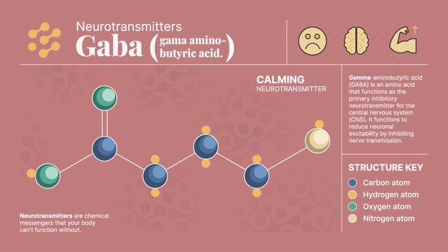 Gaba (Gama Aminno Butyric Acid ) Neurotransmitter Hormone Chemical  Structure -A Visual Vector Infographic Design