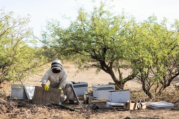 Beekeepers working on hive boxes on a sunny day