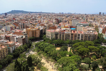 Aerial view of beautiful city Barcelona in sunny summer weather.