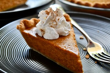 Slice of pumpkin pie with whipped cream topping