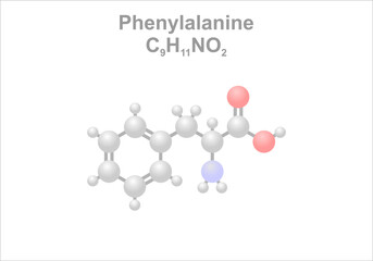 Phenylalanine. Simplified scheme of the molecule. Naturally found in milk of mammals.