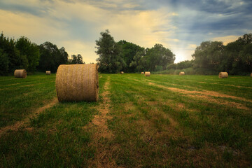 Heuballen - Heu - Stroh - bales of hay - field - harvest - summer - straw - farmland - blue cloudy...