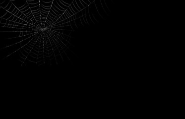 Spider web silhouette against black background. Halloween theme banner, card og invitation.