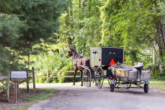 Amish horse and buggy pull a fishing boat down a narrow road at a turn in summer.