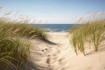 Fototapeta na wymiar Dune grass on the beach, Generative AI