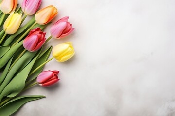 Tulip Flowers on Isolated Light Background, Generative Ai