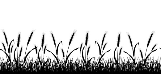 Wheat seamless field silhouette. Rye border. Decor with agricultural vegetation. Tall grasses © JuliaBliznyakova