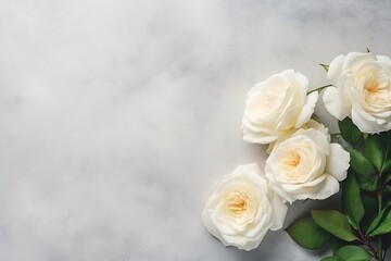 Obraz na płótnie Canvas White Garden Roses Flowers on Isolated Background, Generative Ai