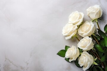  White Garden Roses Flowers on Isolated Background, Generative Ai
