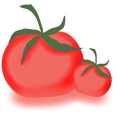 tomato isolated on white