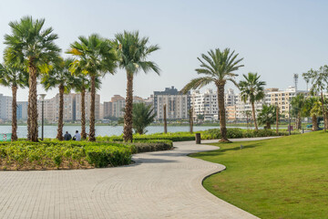 Obraz na płótnie Canvas The palms near the lake promenade at Jeddah, Saudi Arabia, on the hot summer day.