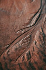 Closeup shot of branch patterns on sandy ground